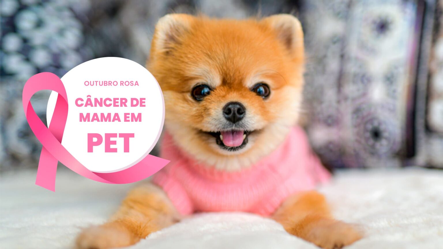 Cancer de mama em pet outubro rosa