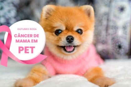 Cancer de mama em pet outubro rosa