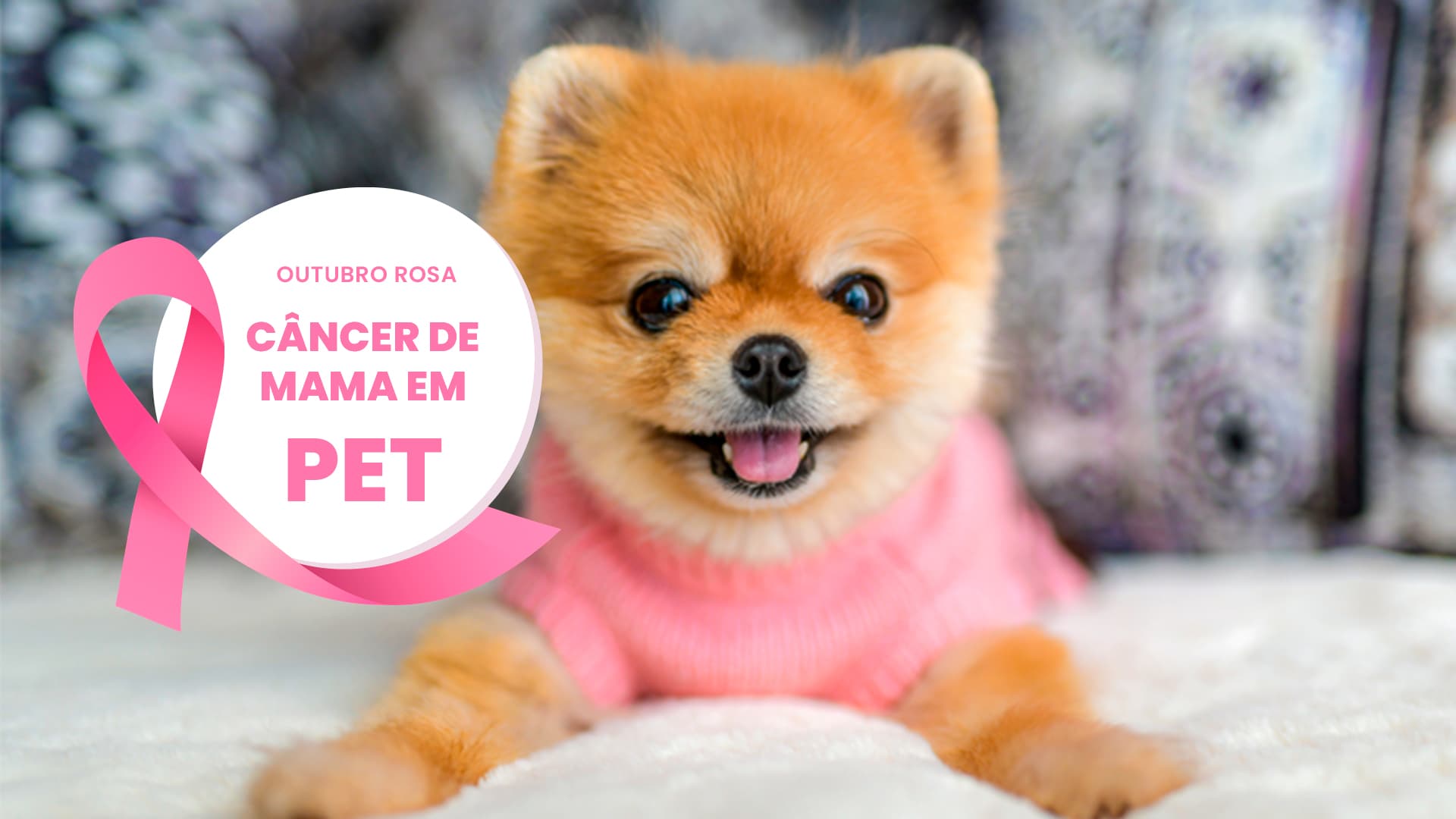Outubro Rosa: Câncer de mama em pet