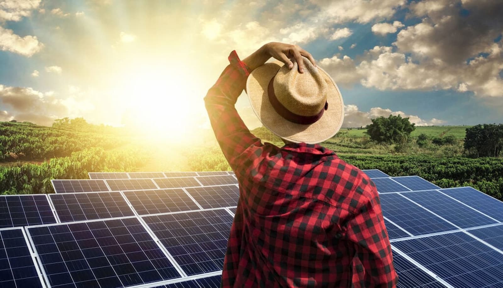 "Netflix" da energia solar: como reduzir a conta de luz sem precisar comprar painéis solares