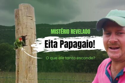 O que papagaio tanto escondia no tronco fazendeiro descobre e se emociona