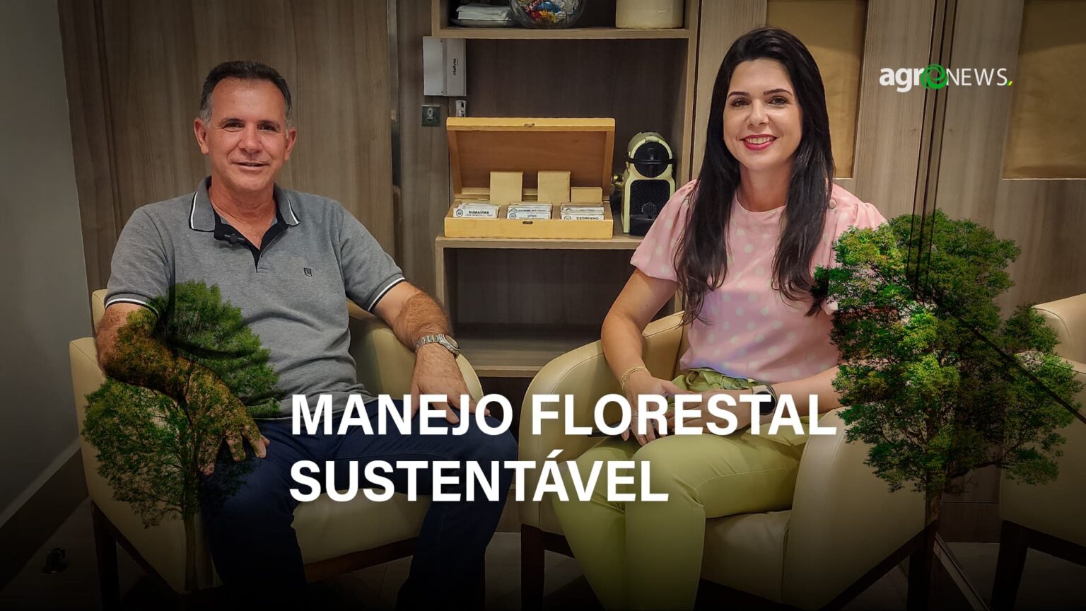 Plano de manejo florestal sustentavel