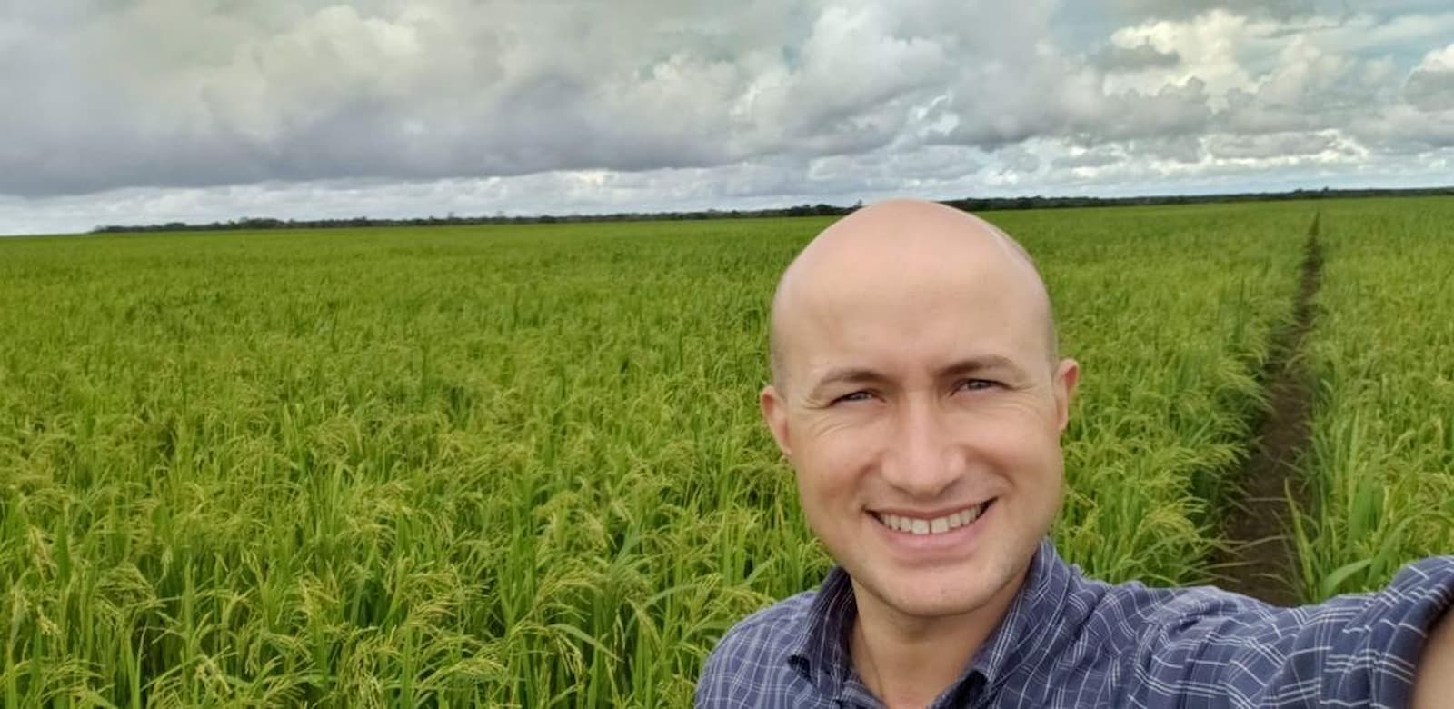 Saúde do solo e sequestro de carbono, o que tem a ver?