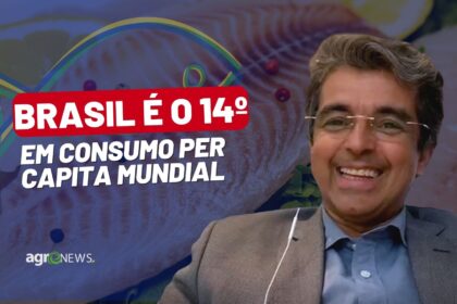 Mercado do peixe 10 de dezembro 2022 brasil e o consumo per capita