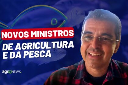 Mercado do peixe 31 de dezembro 2022 novo ministro da pesca