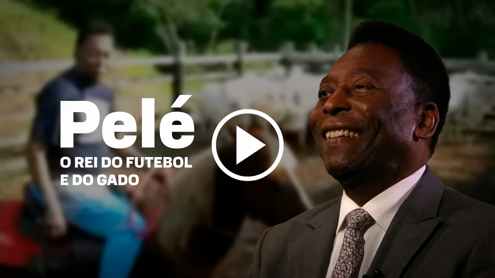 Pelé o Rei do Futebol e do Gado, relembre seu lado fazendeiro