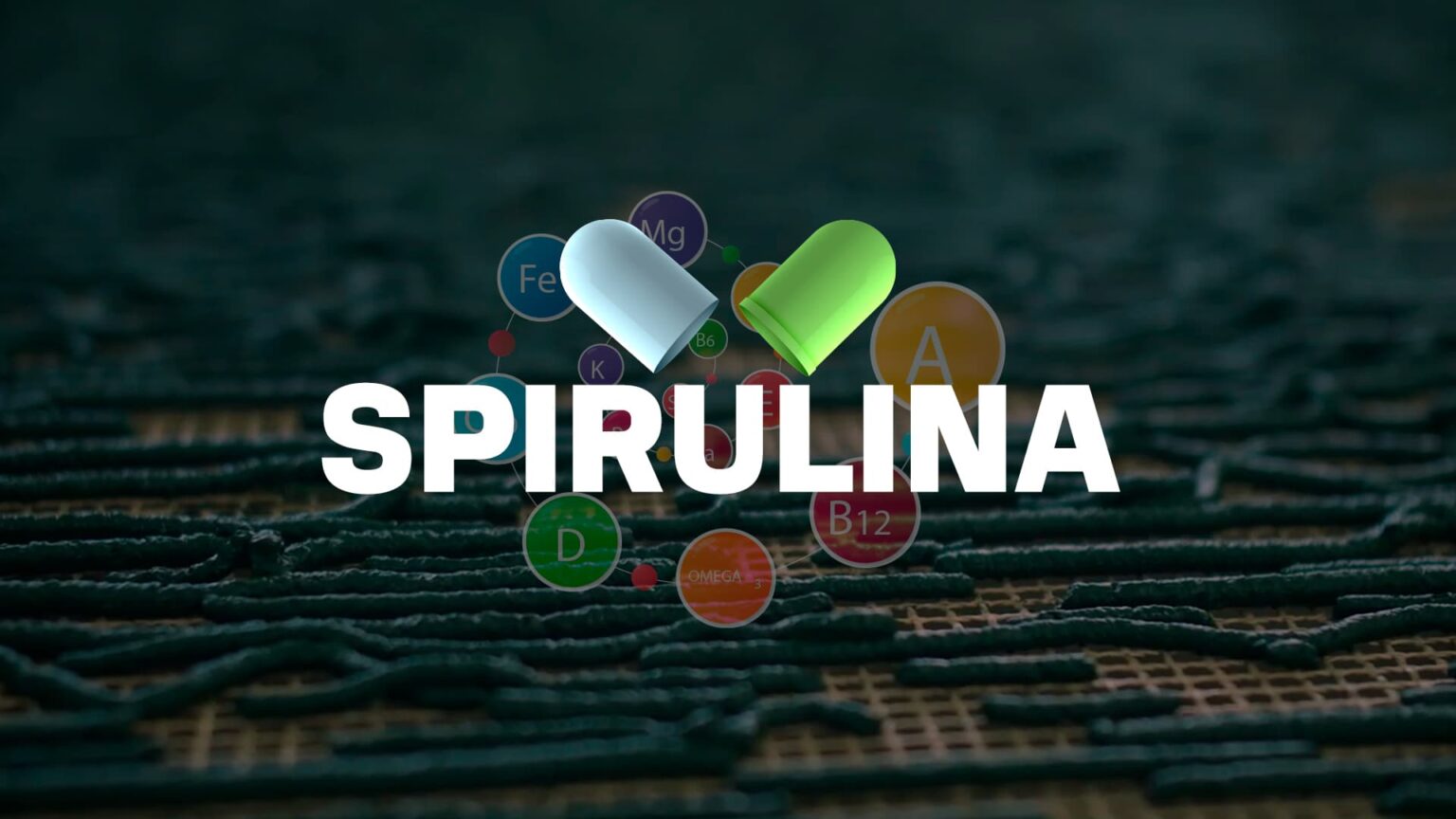 Spirulina alimento usado pela nasa e produzido em mt agronews