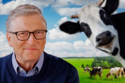 Bill gates emissoes gado