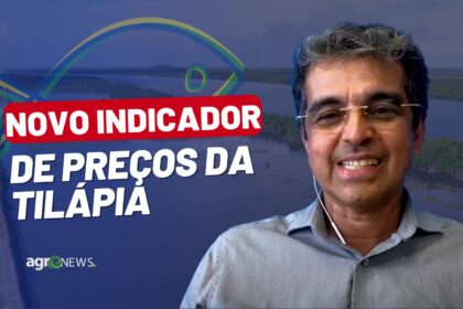 Mercado do peixe 28 de janeiro 2023 novo indicador da tilapia em mg