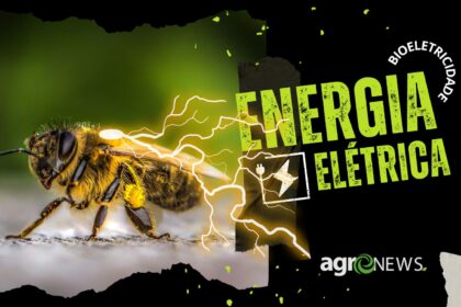 Pesquisadores descobrem que abelhas produzem carga eletrica atmosferica