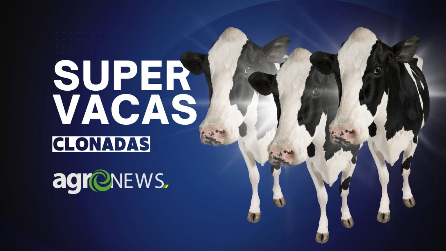 Cientistas chineses conseguem clonar super vacas capazes de produzir 18 ton de leite por ano