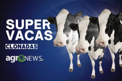 Cientistas chineses conseguem clonar super vacas capazes de produzir 18 ton de leite por ano