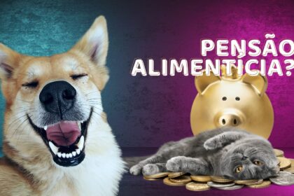 Pensao alimenticia