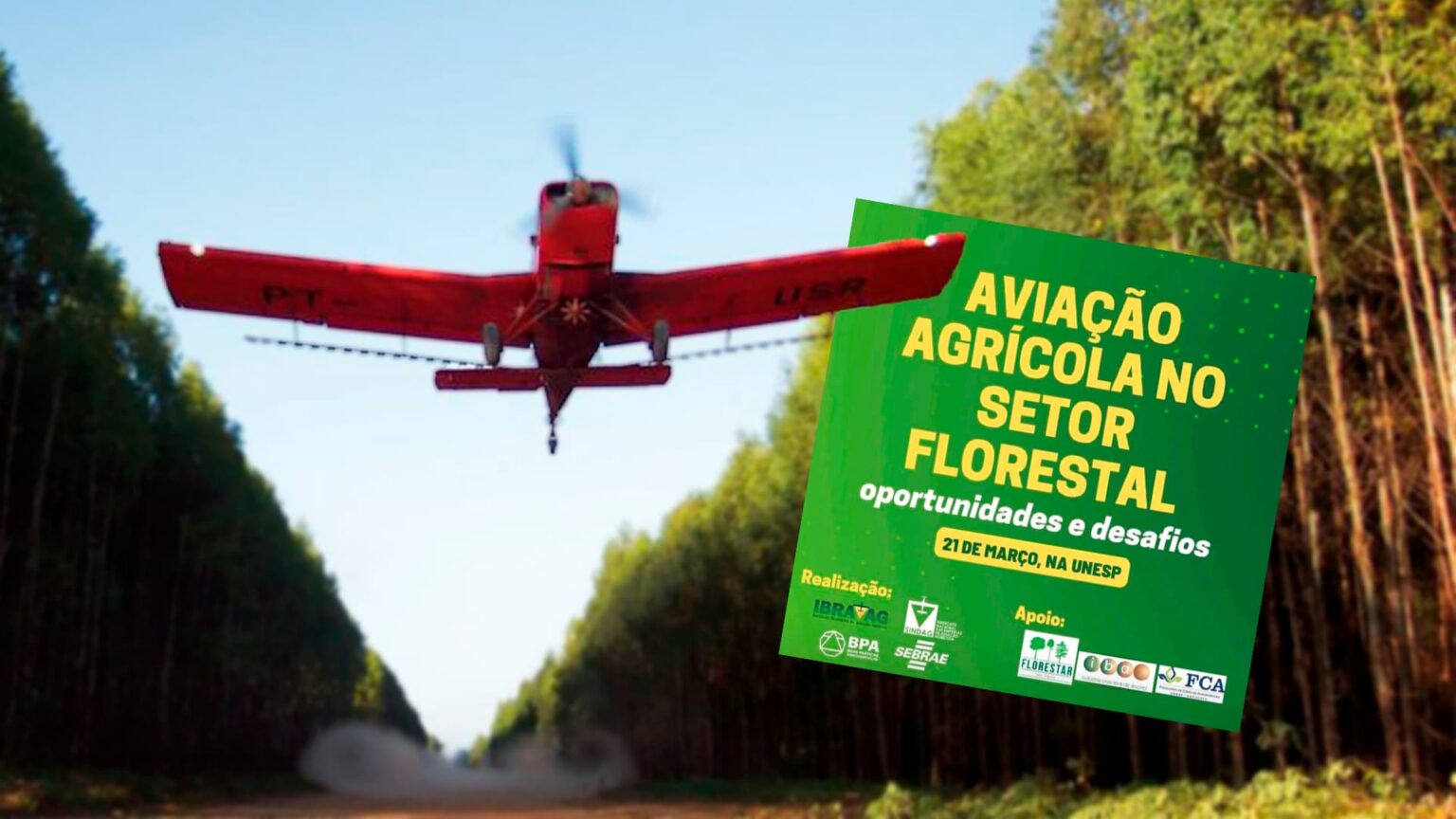 Aviacao agricola na protecao de florestas agronews