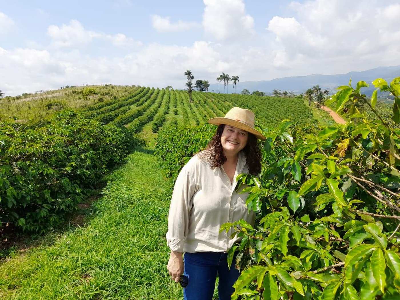 Cafe vulcancio botelhos mg agronews