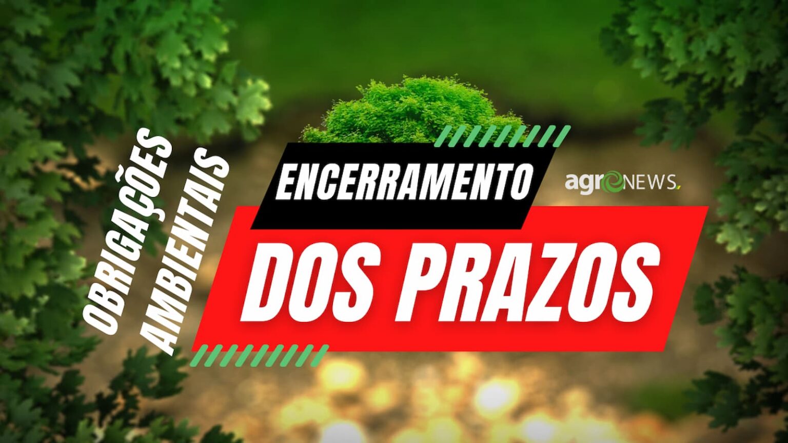 Fique atento esta semana encerra os prazos das obrigacoes ambientais