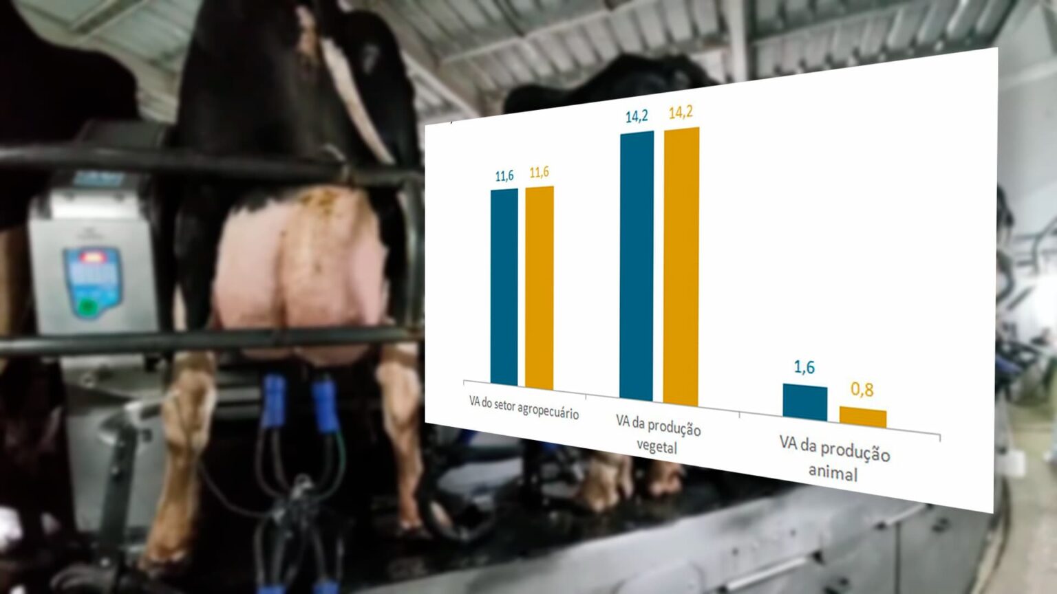 Producao vegetal cresce 142 em 2023 enquanto producao animal apenas 08