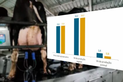 Producao vegetal cresce 142 em 2023 enquanto producao animal apenas 08