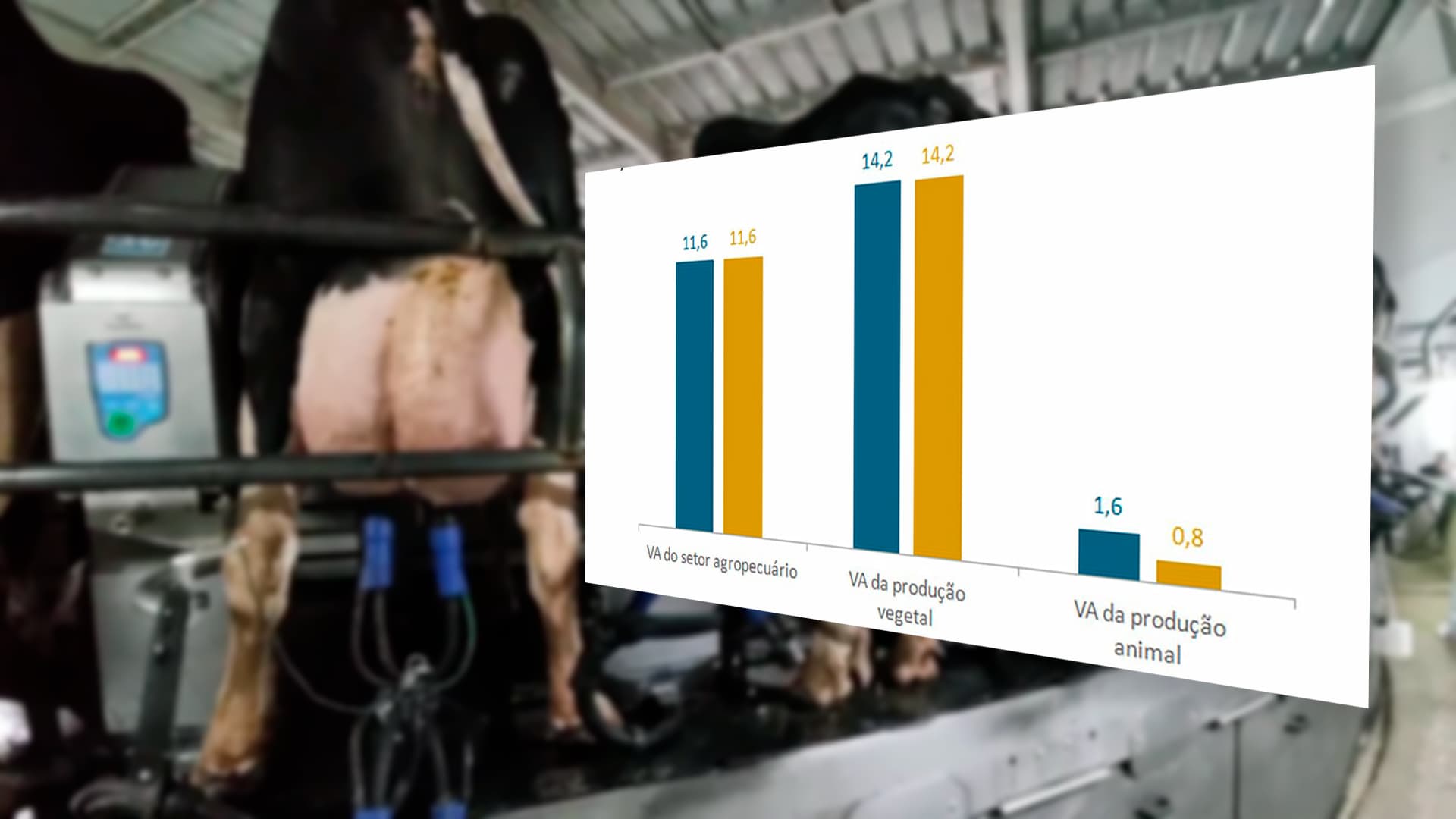 Produção vegetal cresce 14,2% em 2023, enquanto produção animal apenas 0,8%