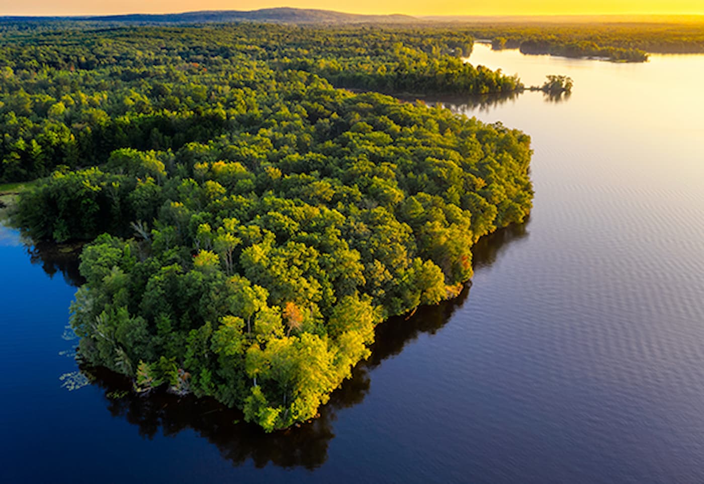 Amazonia legal