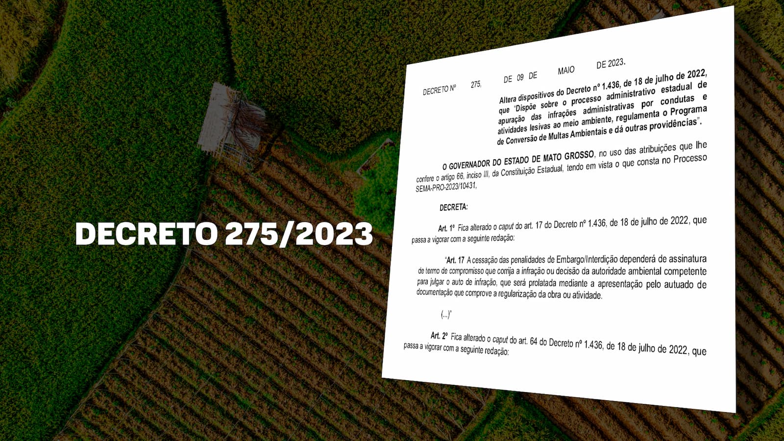Sema altera decreto e faz mudanças no procedimento da conciliação de infrações ambientais