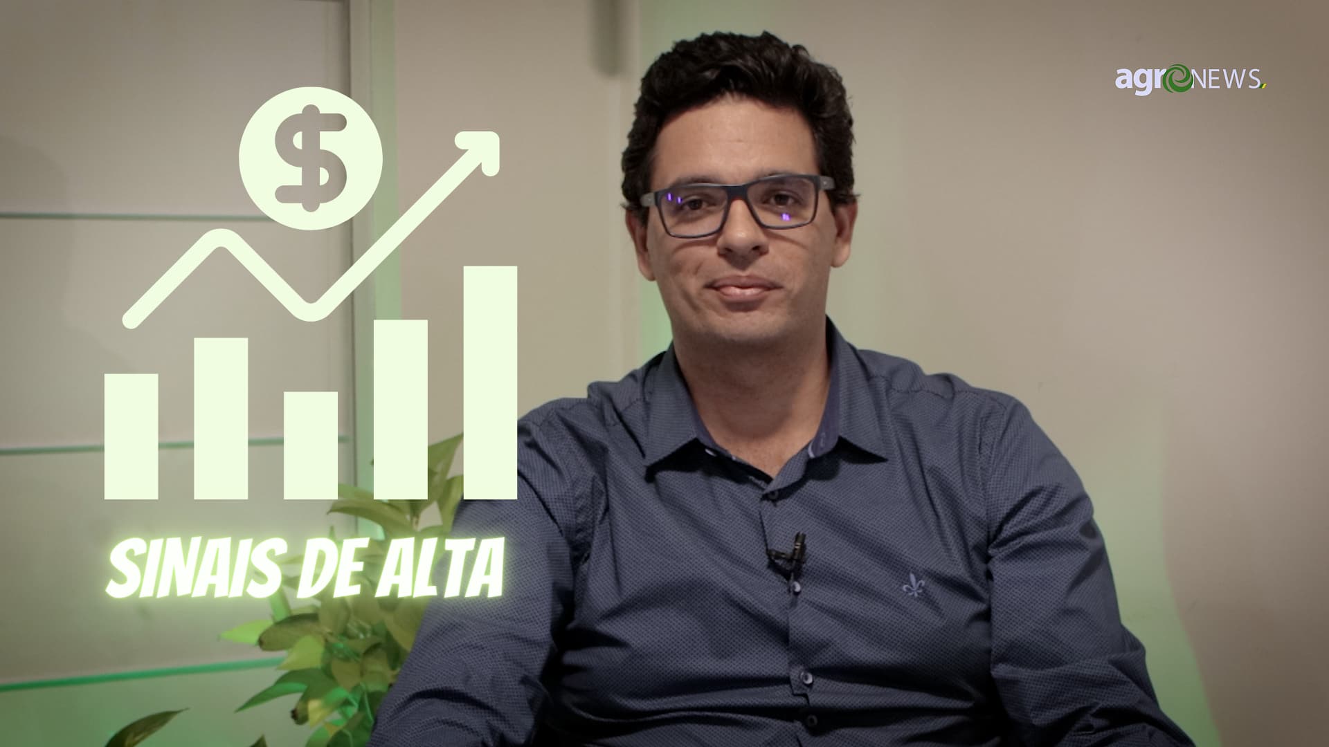 Mercado do boi apresenta sinais de alta e preços de balcão tem alteração