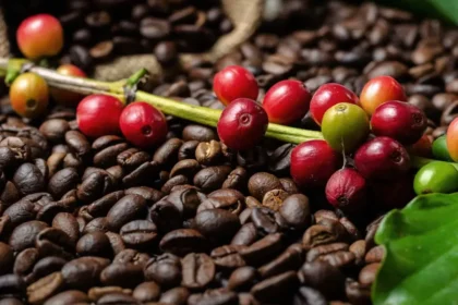 mercado do café