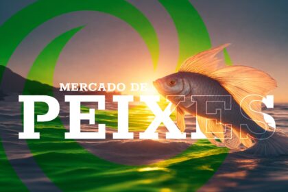 Mercado de peixes agronews