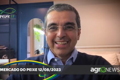 Mercado de peixes 12 de agosto 2023