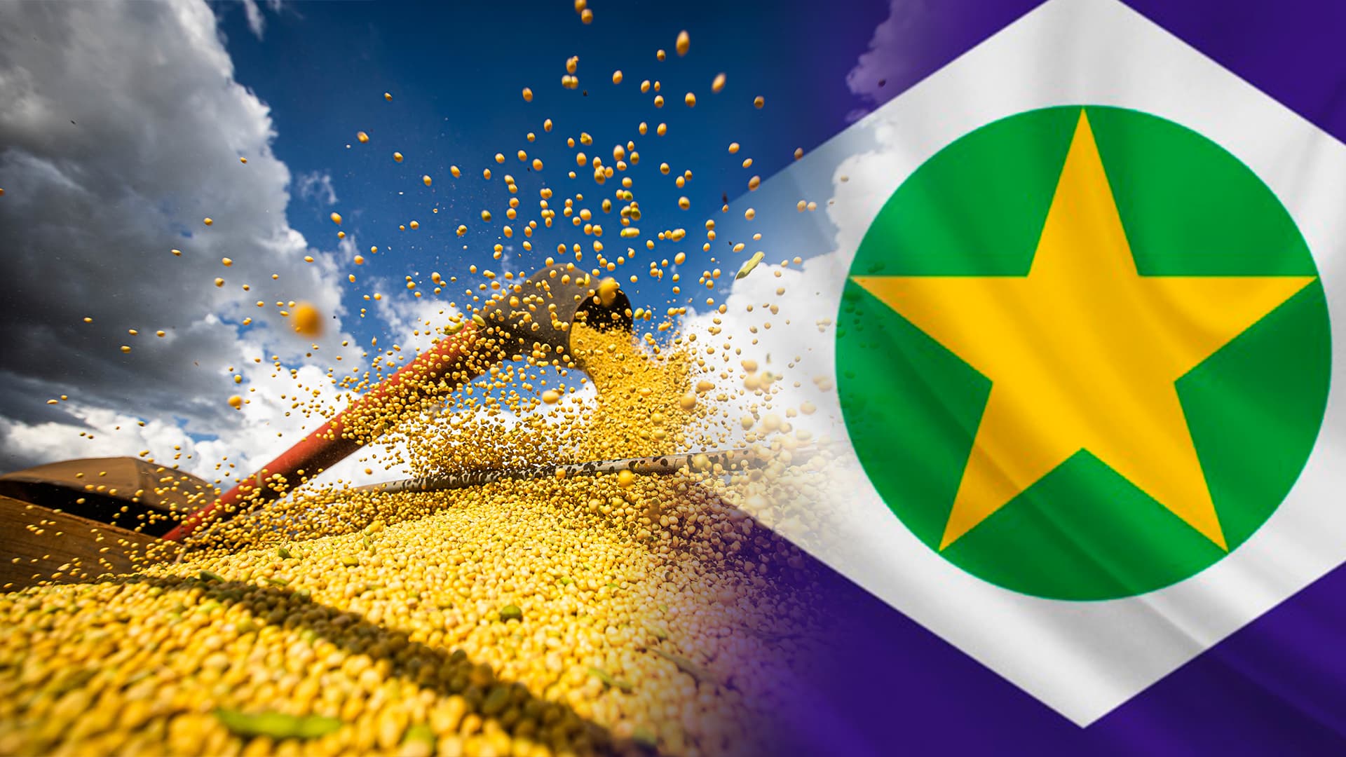 Produção de grãos no MT dá salto de 16,5% com impressionante ganho de produtividade