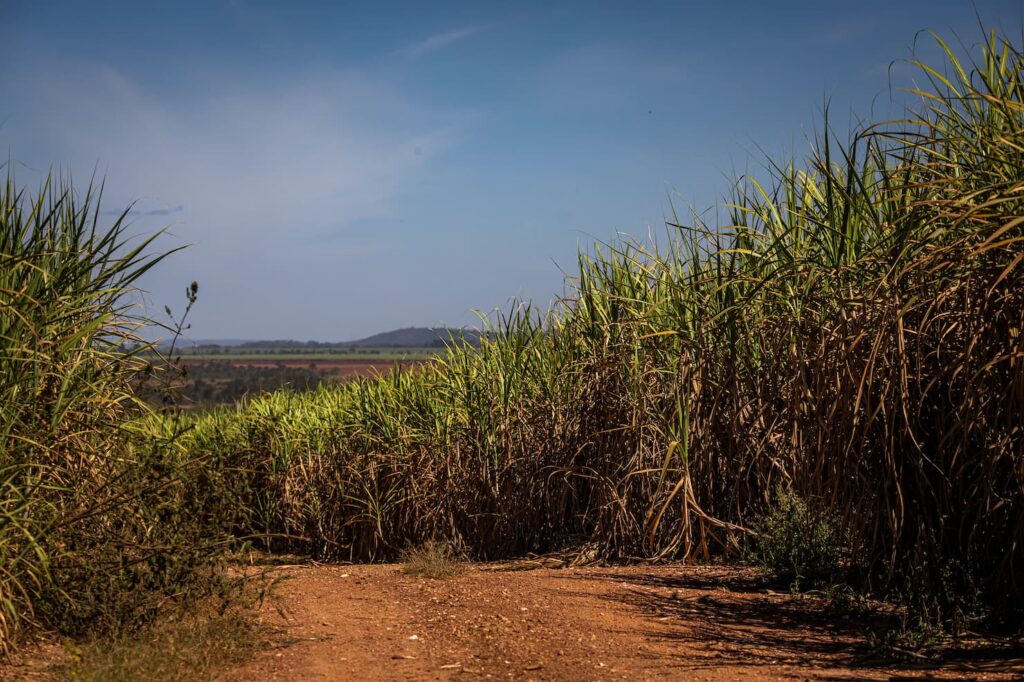 açúcar