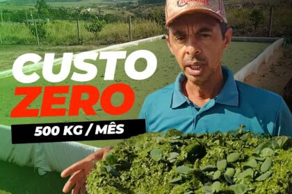 Produtor revela tecnica para produzir 500 kg de alimentos por mes a custo zero