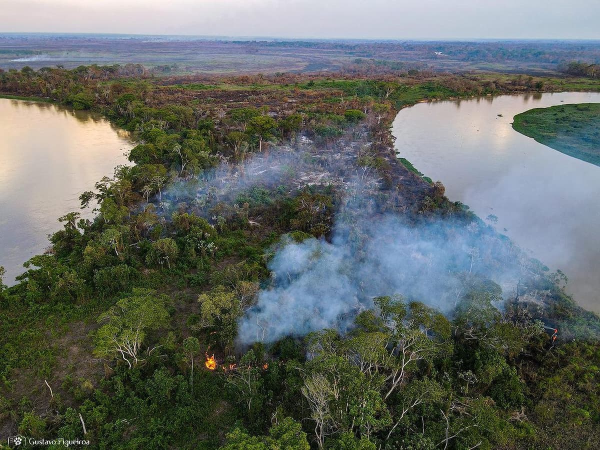 pantanal