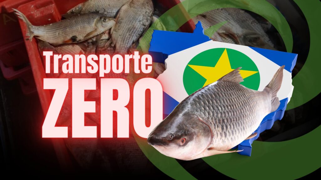 Transporte Zero Do Pescado Em MT