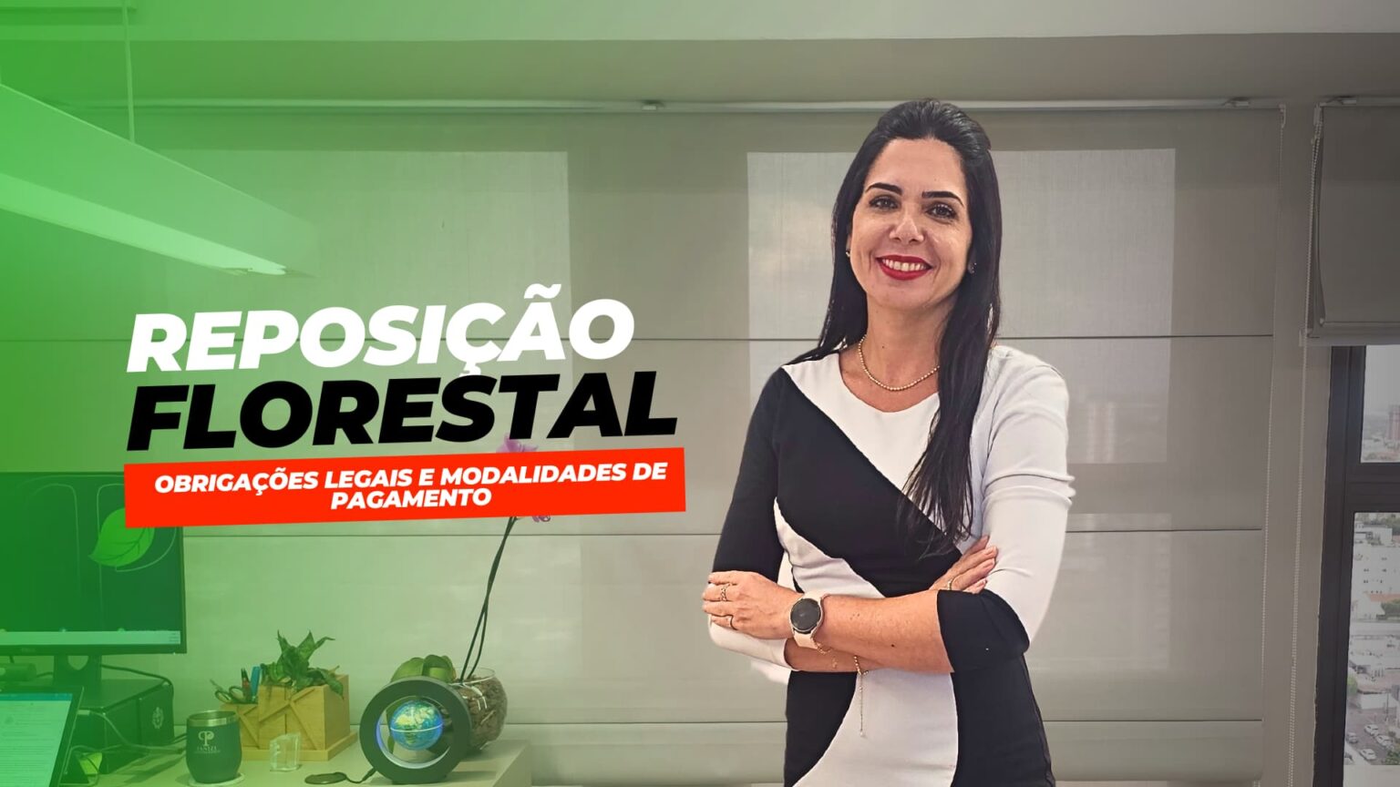 Reposicao florestal 2024 obrigacoes legais e modalidades de pagamento