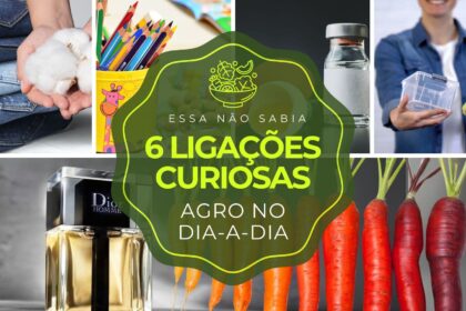 6 ligações curiosas entre o agronegócio e o nosso dia-a-dia