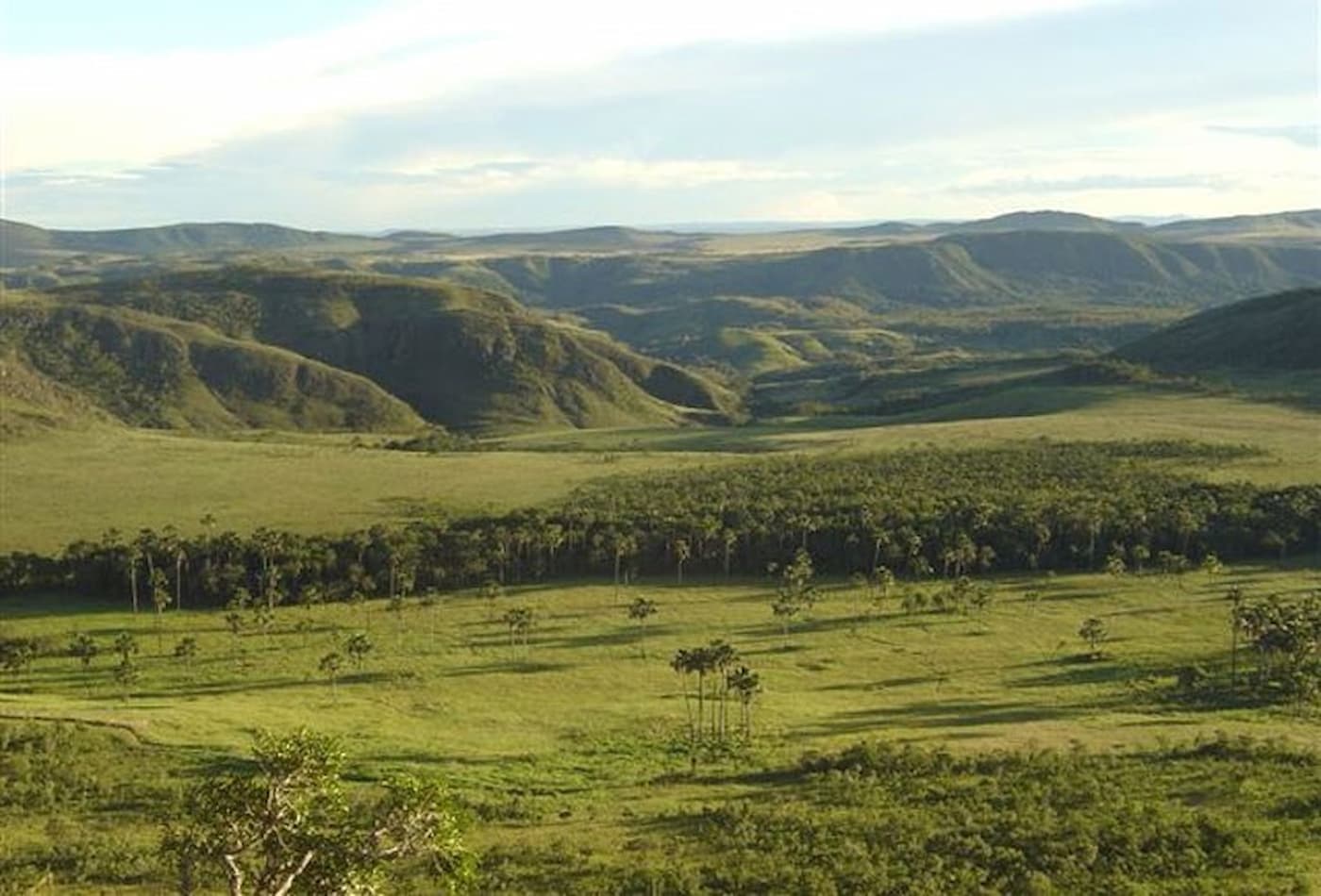 áreas consolidadas - código florestal