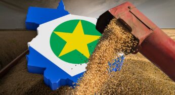 Mato Grosso registra safra de soja recorde com expansão de área, confira!
