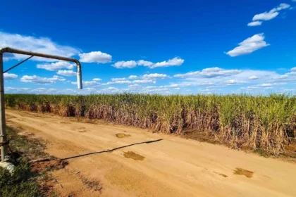 agronegócio mineiro