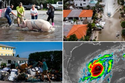 Furacão Milton - o que sabemos até o momento e os impactos no agronegócio americano