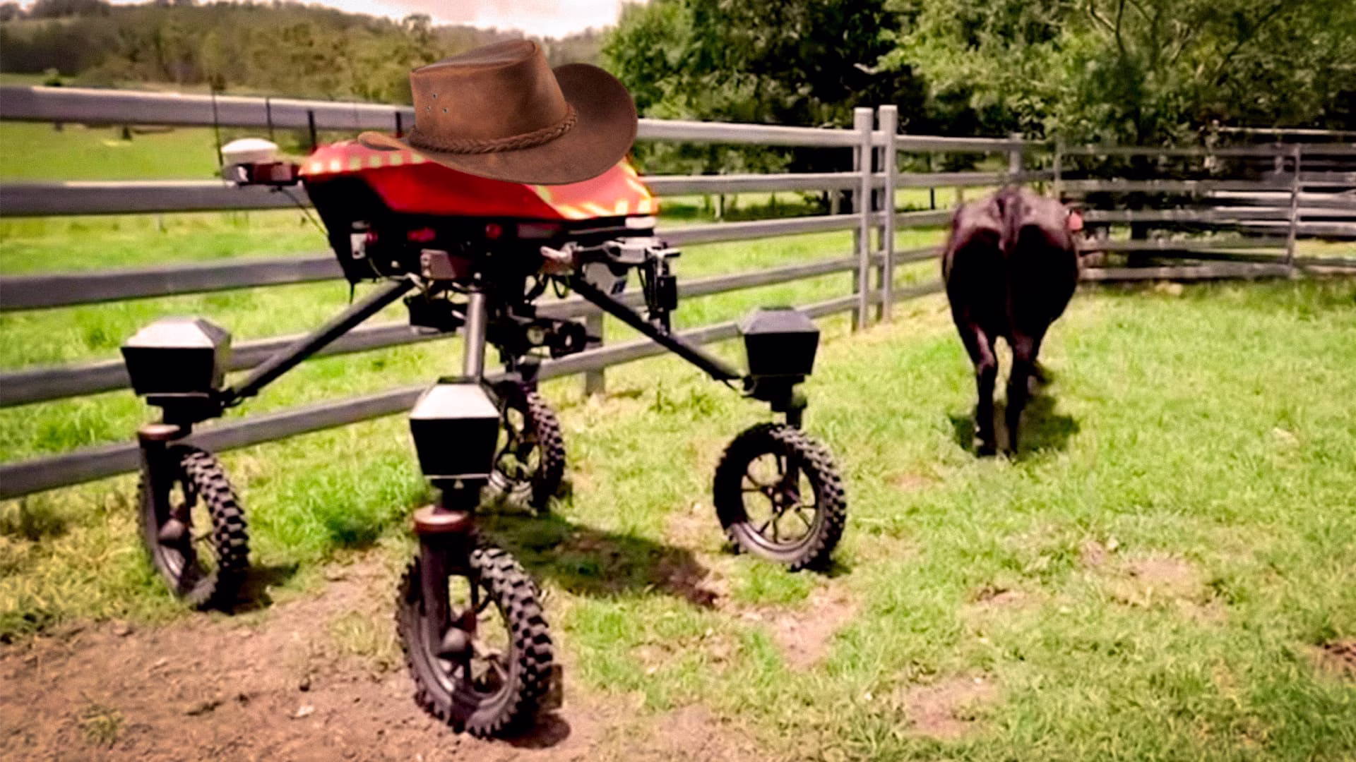 Swagbot O Robô Vaqueiro Que Está Revolucionando A Pecuária (1)