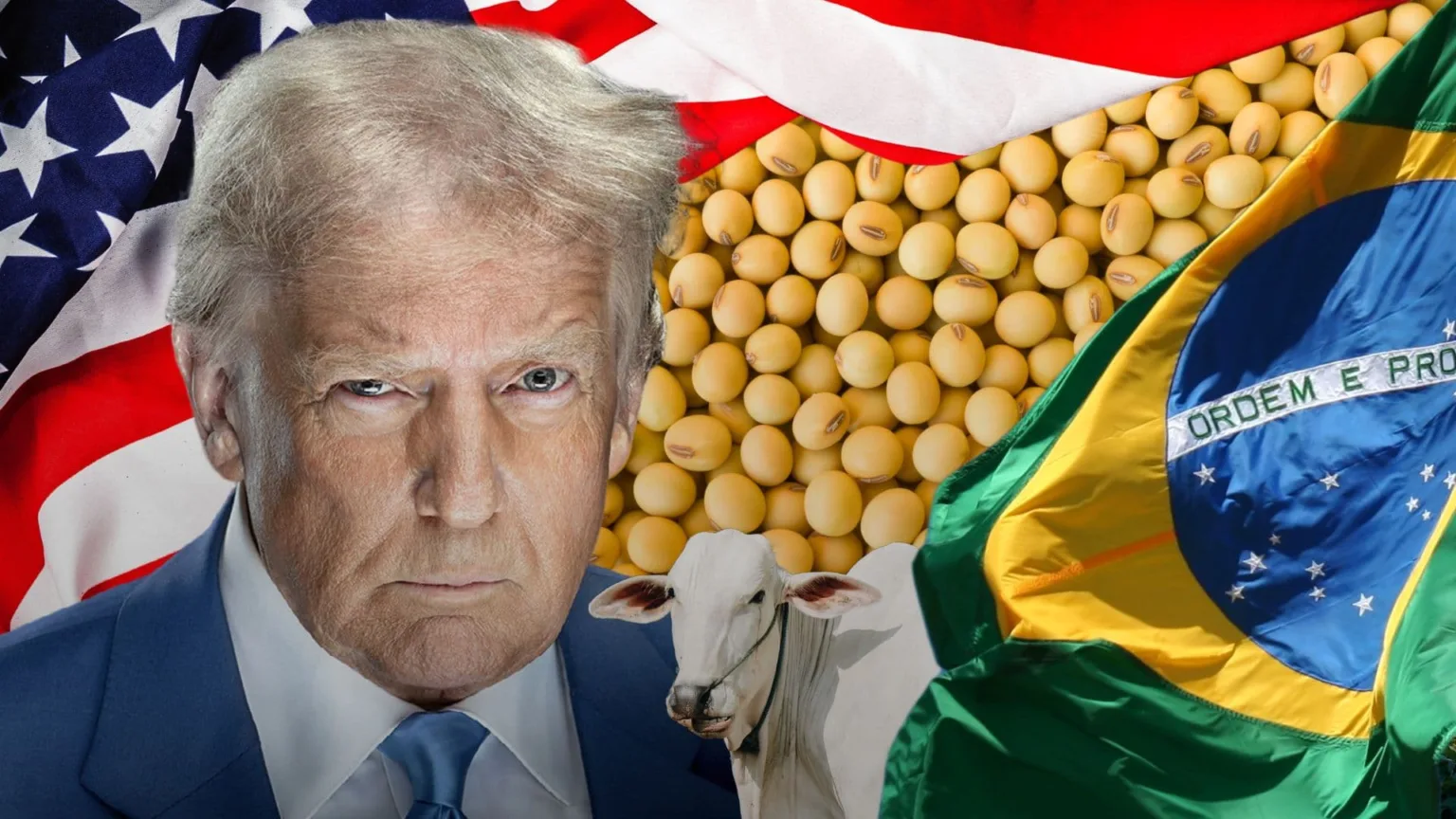 Trump E Agro Brasileiro - agronews