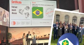 Brasil recebe status internacional de Livre de Febre Aftosa sem Vacinação